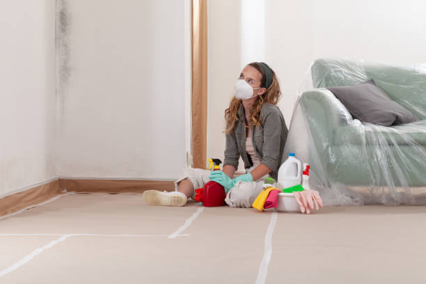 Reliable Mold Cleanup contractor in Dundas, VA by WQB Mold Removal